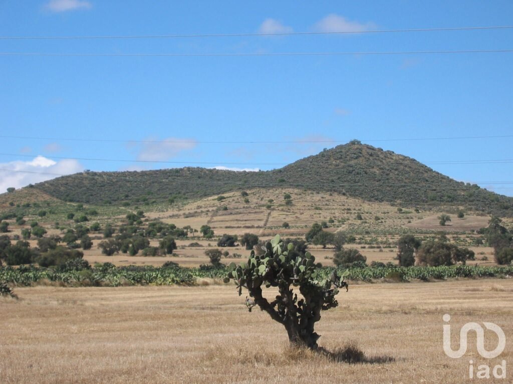 terreno con yacimientos