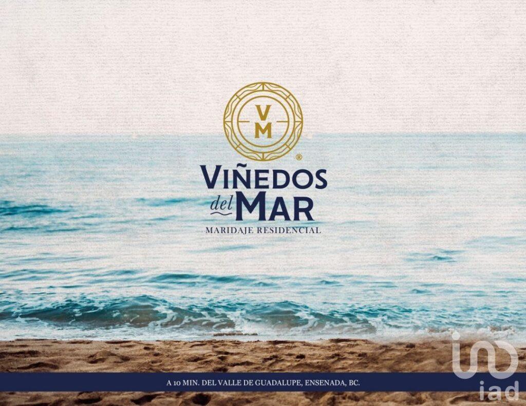 Desarrollo Viñedos del Mar