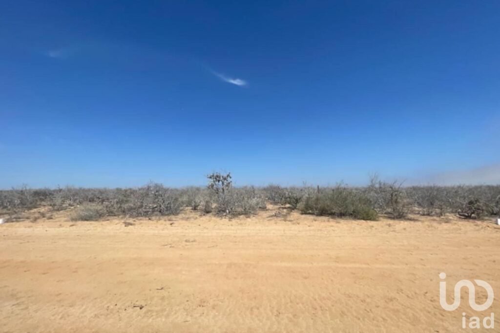 TERRENO 50 HECTÁREAS RÚSTICO AGRICOLA GANADERO EN VENTA COL REVOLUCIÓN MEXICANA CD CONSTITUCIÓN BCS