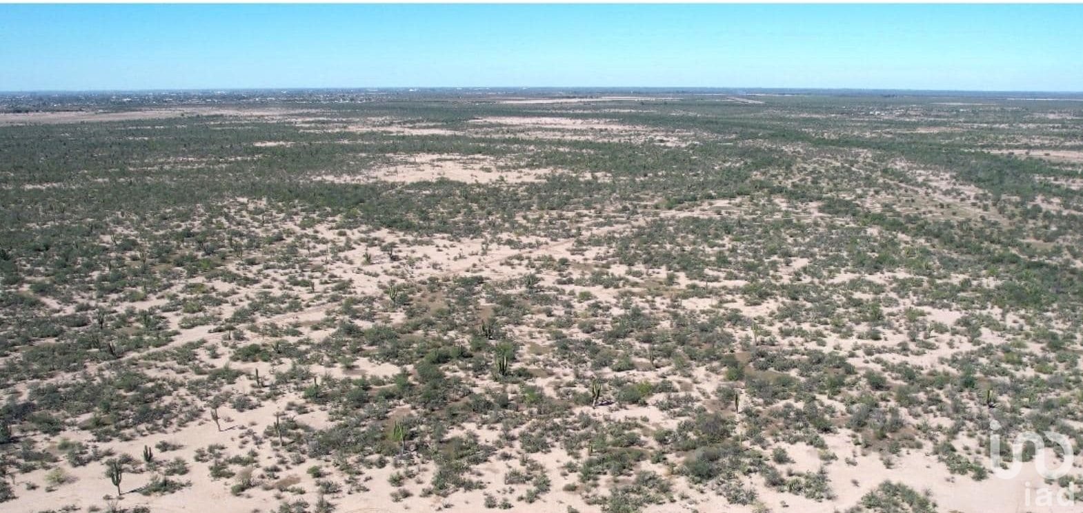 TERRENO 50 HECTÁREAS RÚSTICO AGRICOLA GANADERO EN VENTA COL REVOLUCIÓN MEXICANA CD CONSTITUCIÓN BCS