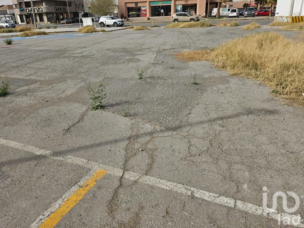 Terreno en Renta Zona Teresiano en Avenida Principal