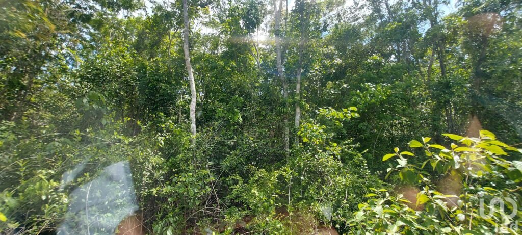 Terreno en Venta en Tulum Quintana Roo