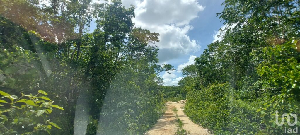 Terreno en Venta en Tulum Quintana Roo