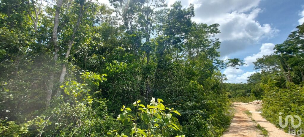 Terreno en Venta en Tulum Quintana Roo