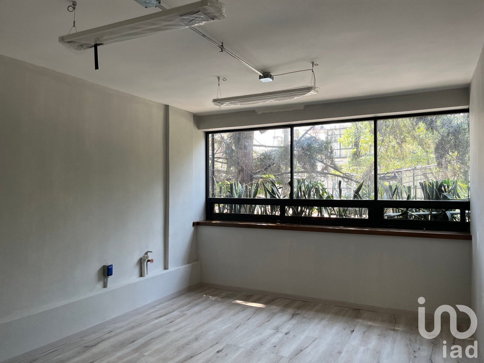 RENTA OFICINA POLANCO MAZARYK