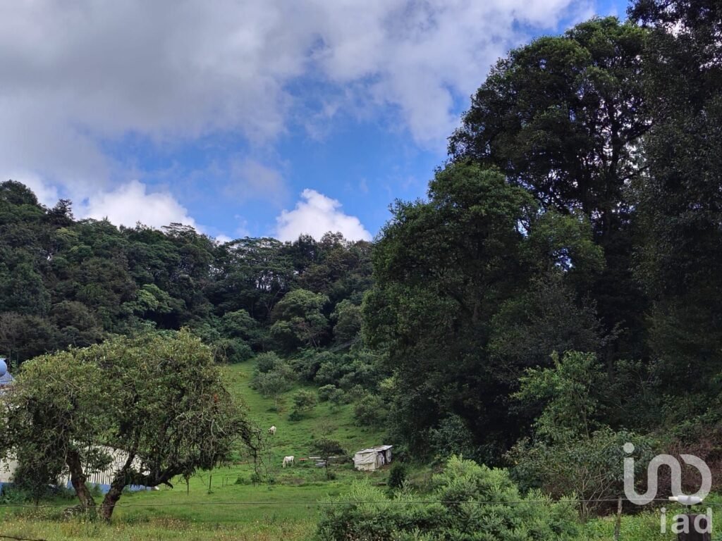 Venta de terreno en Piletas, Rafael Lucio, Veracruz