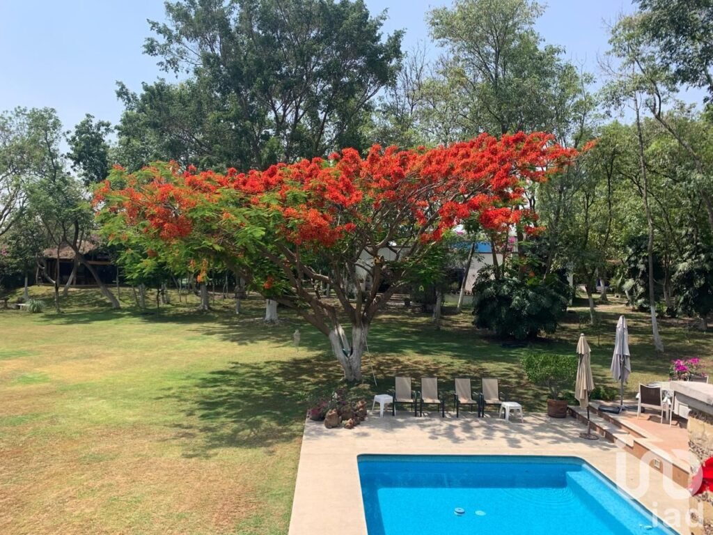 Se vende Quinta amueblada  en Zacualpan de Amilpas