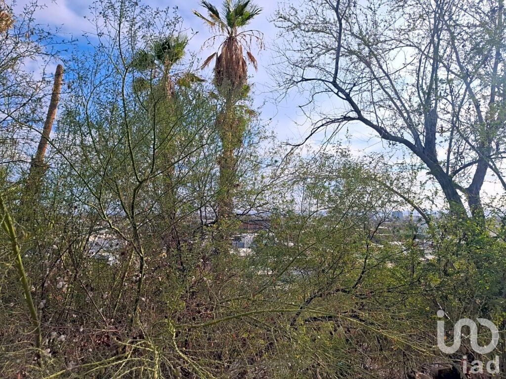 TERRENO EN VENTA EN COLINA DE LA CRUZ