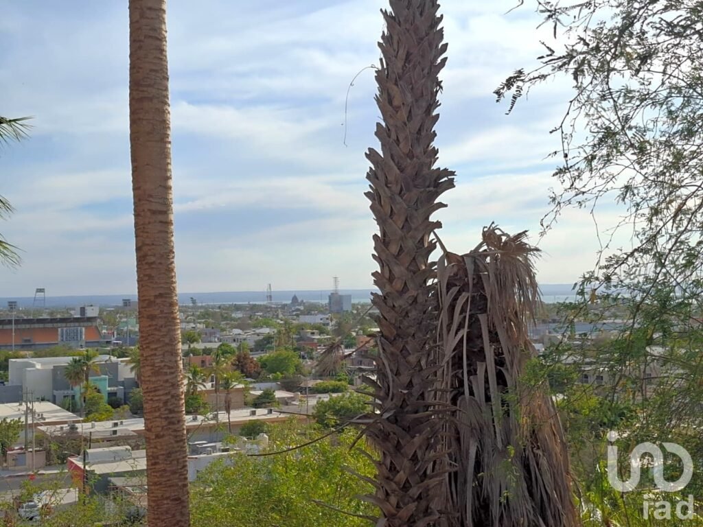 TERRENO EN VENTA EN COLINA DE LA CRUZ - 2160441 terreno en venta terreno en venta en colina de la cruz 248706