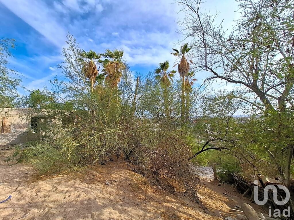 TERRENO EN VENTA EN COLINA DE LA CRUZ