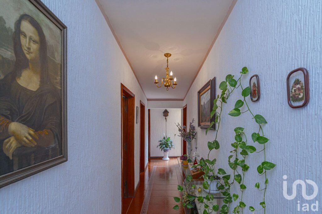 Increíble Casa Colonial con Alberca en Cuernavaca – Ideal para Vivir o Invertir