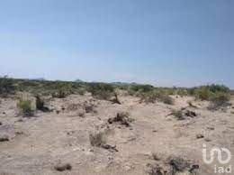 800 HECTAREAS SANTA TERESA