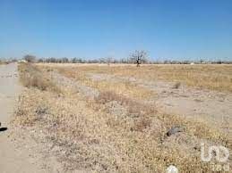 800 HECTAREAS SANTA TERESA