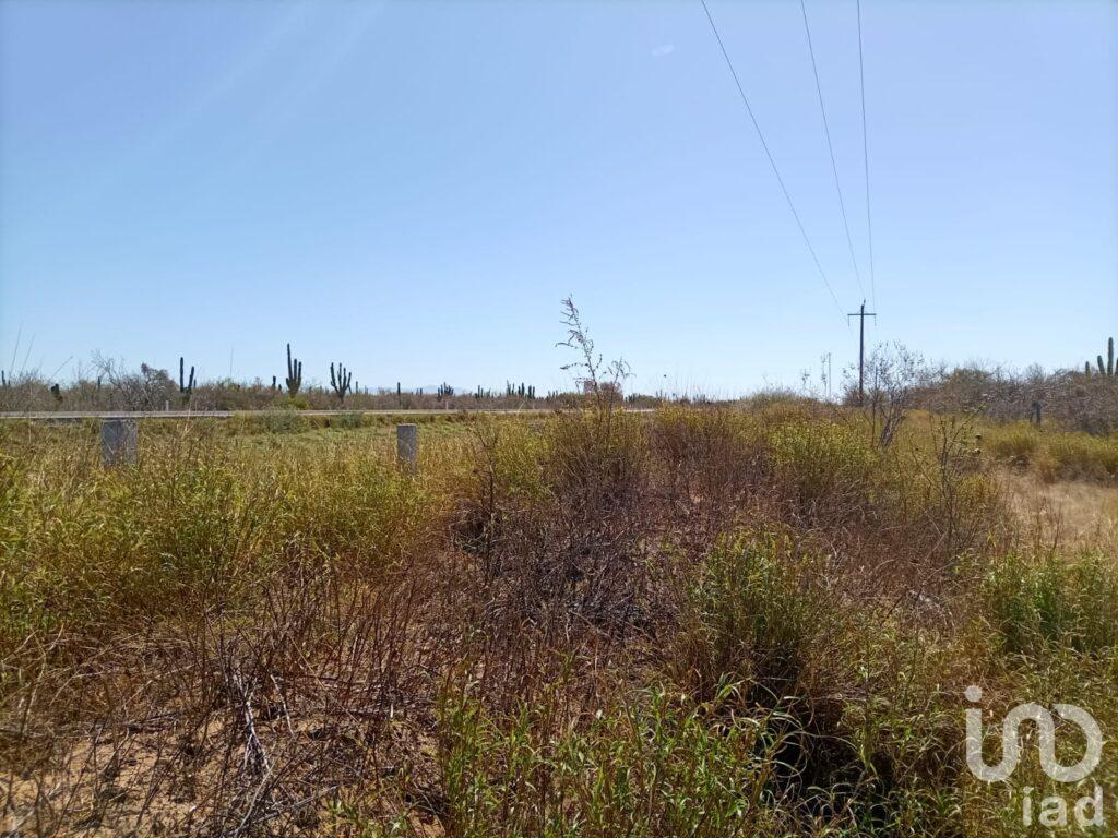 TERRENO SOBRE CARRETERA TRANSPENINSULAR LA PAZ - LOS CABOS EL CARRIZAL