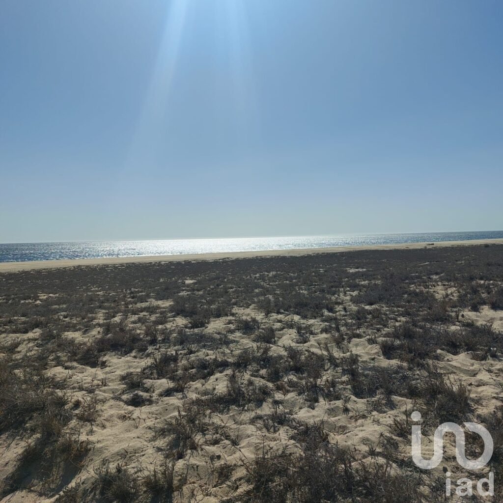 Terreno cerca del mar Agua blanca, Todos Santos - 2162650 terreno en venta terreno cerca del mar agua blanca todos santos 246730