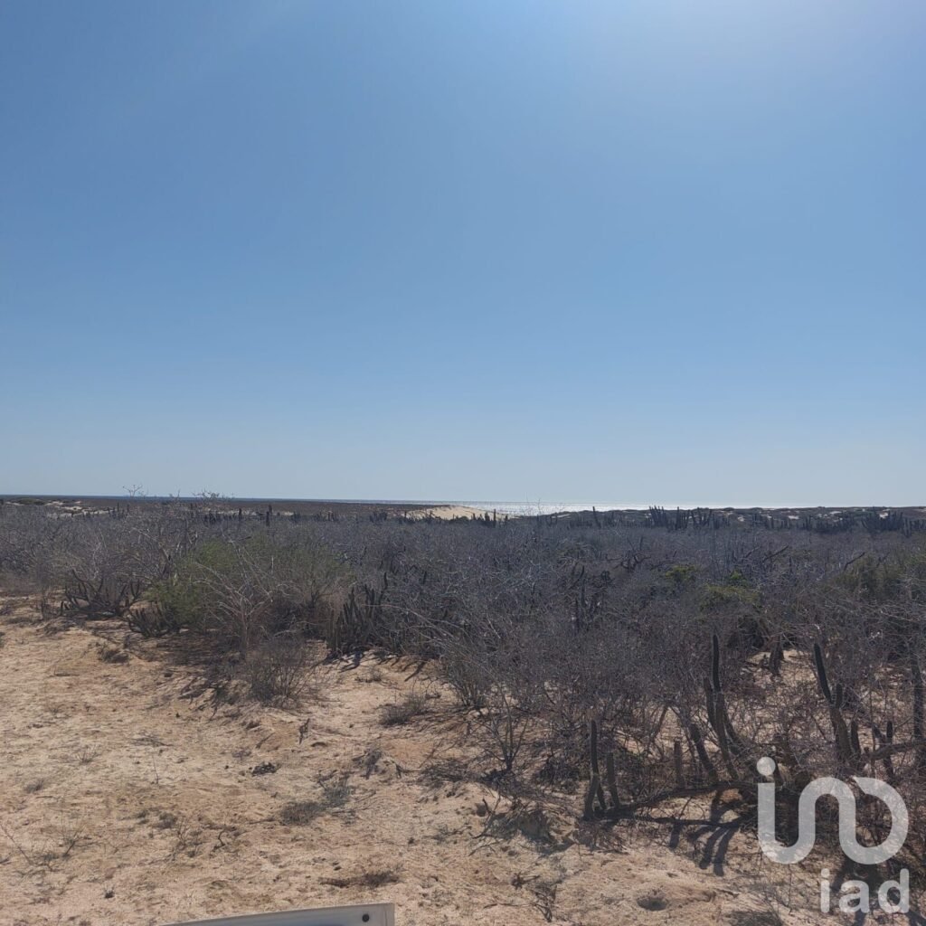 Terreno cerca del mar Agua blanca, Todos Santos