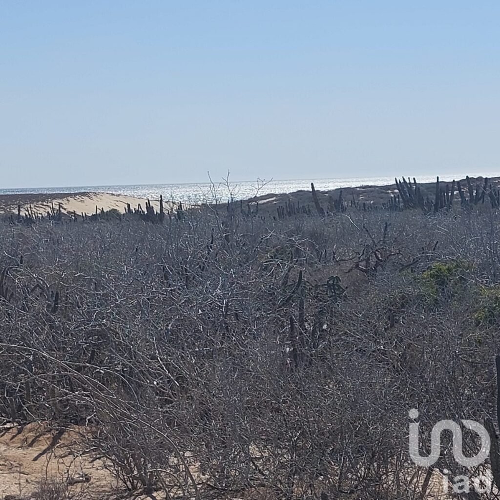 Terreno cerca del mar Agua blanca, Todos Santos
