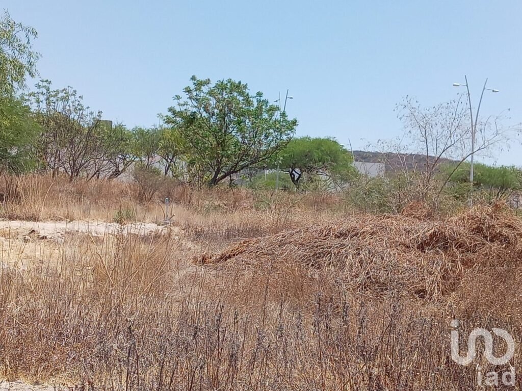 VENTA TERRENO EN RESIDENCIAL ENCINOS