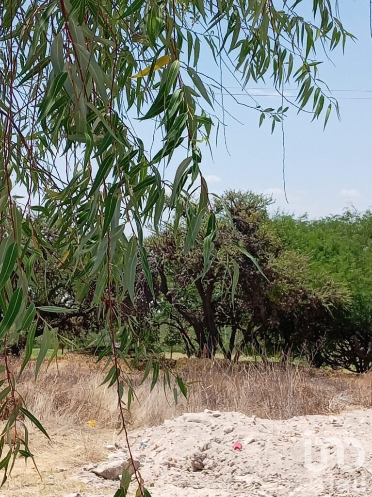 VENTA TERRENO EN RESIDENCIAL ENCINOS