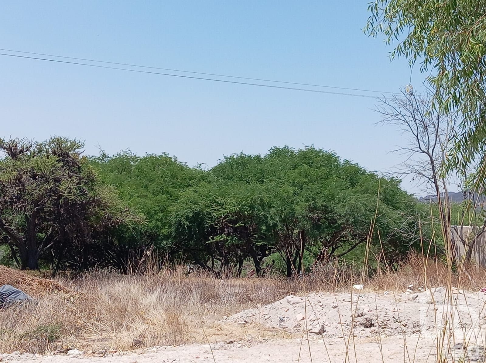 VENTA TERRENO EN RESIDENCIAL ENCINOS