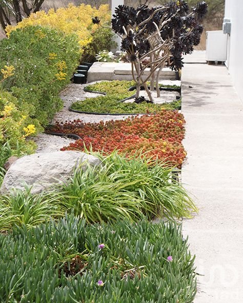 PEÑA DE BERNAL TERRENO VERGEL DE LA PEÑA