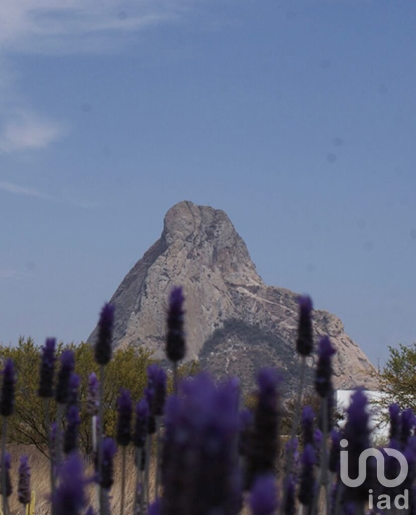 PEÑA DE BERNAL TERRENO VERGEL DE LA PEÑA