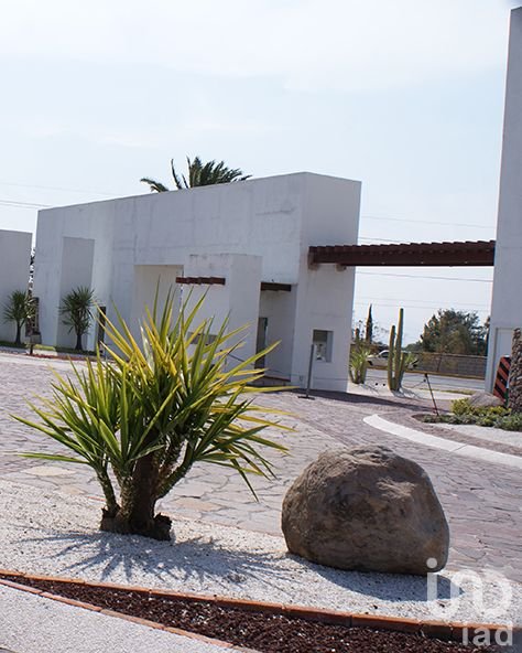 PEÑA DE BERNAL TERRENO VERGEL DE LA PEÑA - 2163295 terreno en venta pena de bernal terreno vergel de la pena 249201