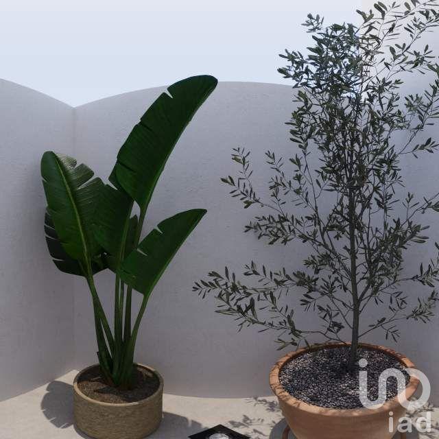 Casa modelo KITAM Jardines Ciudad Mayakoba, Riviera maya MX