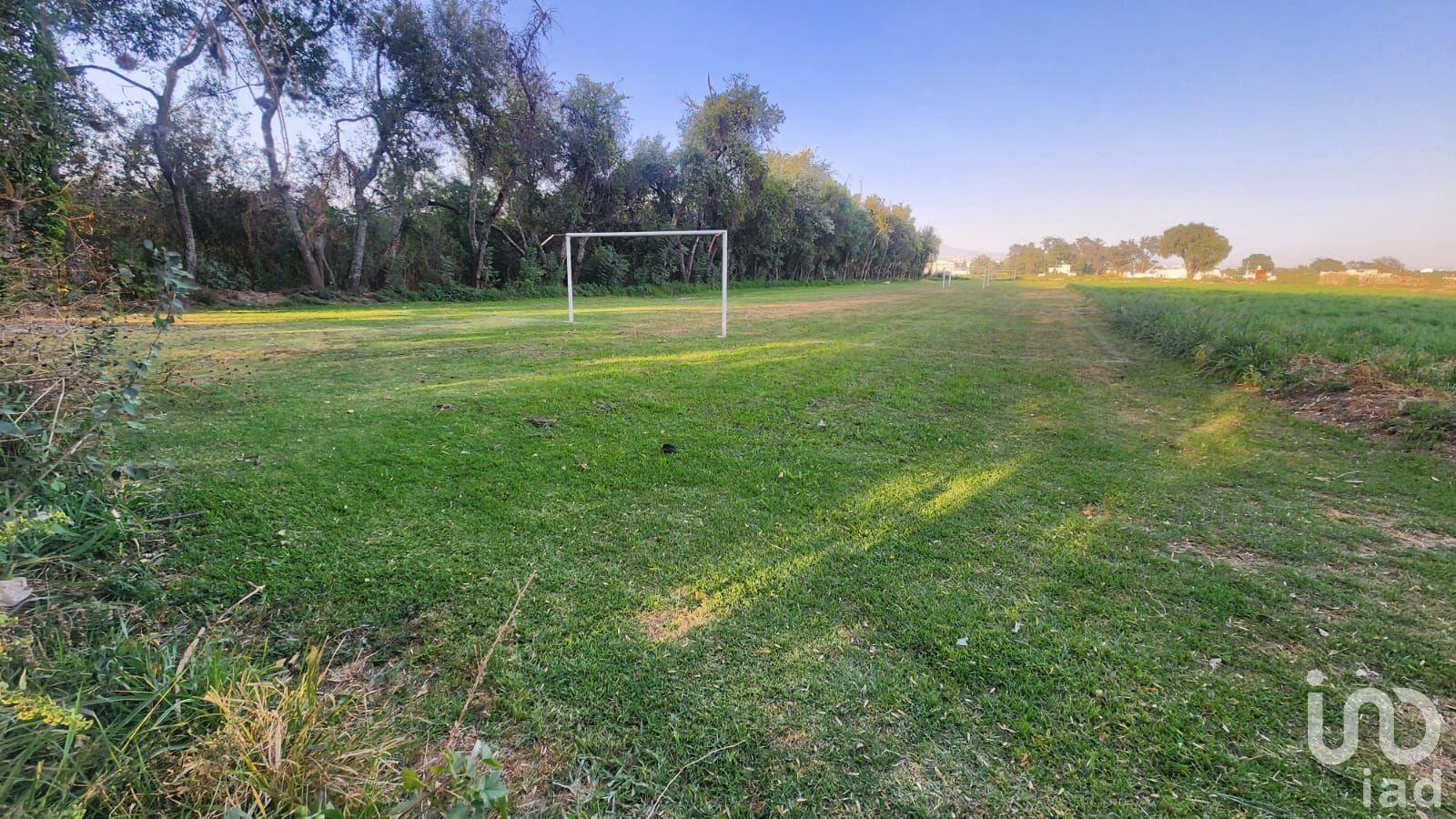 Terreno en Venta para Desarrollo Zona del Ameyal Terreno en Venta para Desarrollo Zona del Ameyal