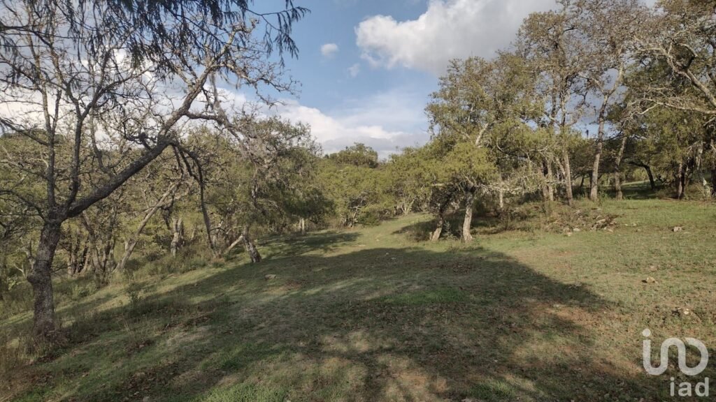 VENTA DE TERRENO CAMPESTRE EN OJO DE AGUA,HUASCA ESTADO DE HIDALGO