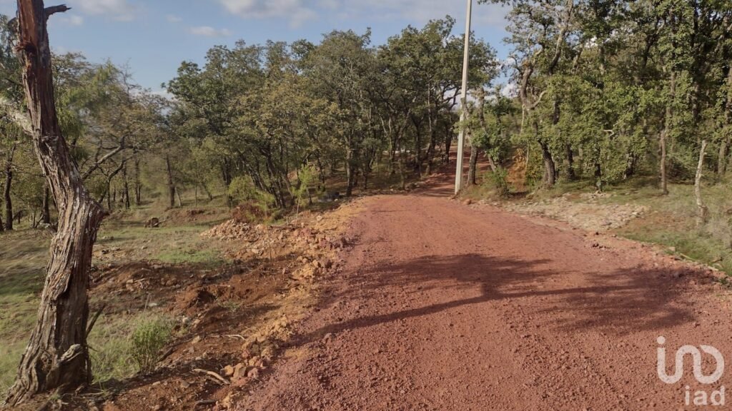 TERRENO CAMPESTRE EN VENTA EN HUASCA,HGO.
