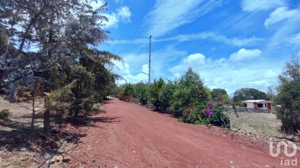 TERRENO CAMPESTRE EN VENTA EN HUASCA,HGO.