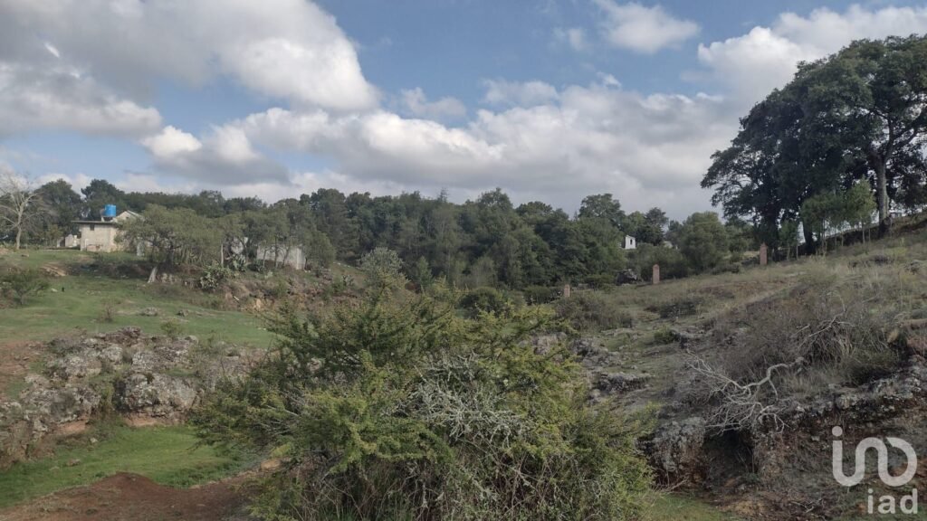 TERRENO CAMPESTRE EN VENTA EN HUASCA,HGO.