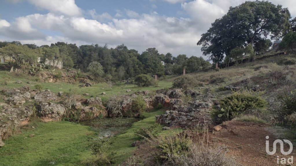 TERRENO CAMPESTRE EN VENTA EN HUASCA,HGO.