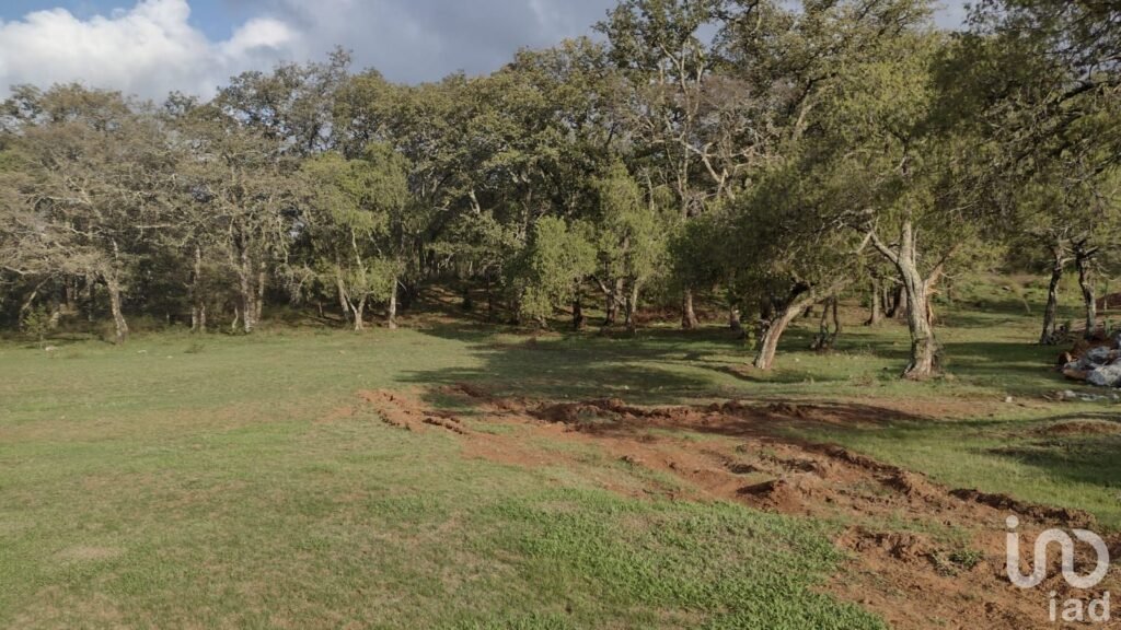 TERRENO EN VENTA EN OJO DE AGUA,EN EL PUEBLO MAGICO DE HUASCA,HGO.
