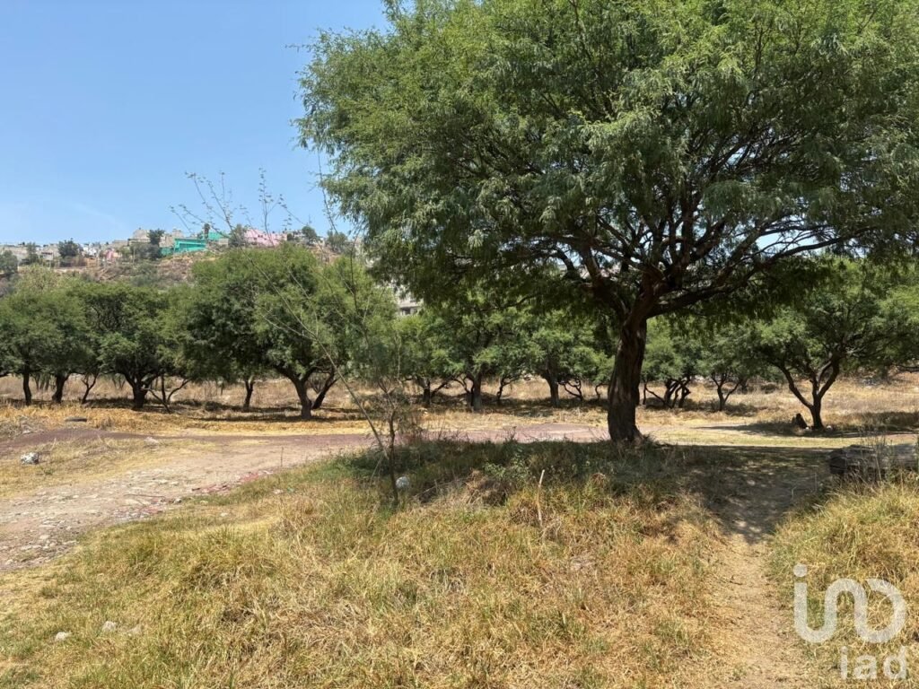 TERRENO DE 21500m2 EN VENTA, SAN MIGUEL DE ALLENDE, GTO.
