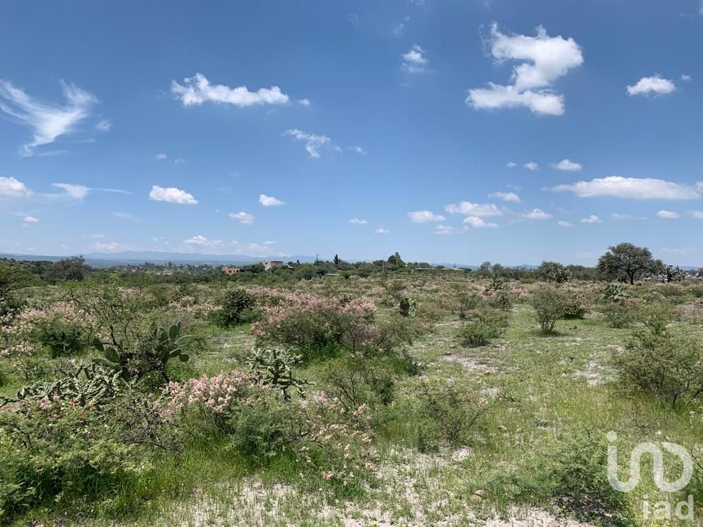 TERRENO DE 21500m2 EN VENTA, SAN MIGUEL DE ALLENDE, GTO.
