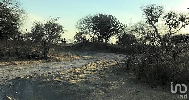 TERRENO DE 21500m2 EN VENTA, SAN MIGUEL DE ALLENDE, GTO.