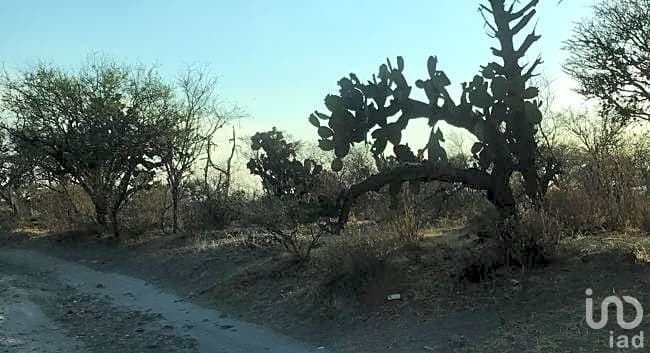 TERRENO DE 21500m2 EN VENTA, SAN MIGUEL DE ALLENDE, GTO.