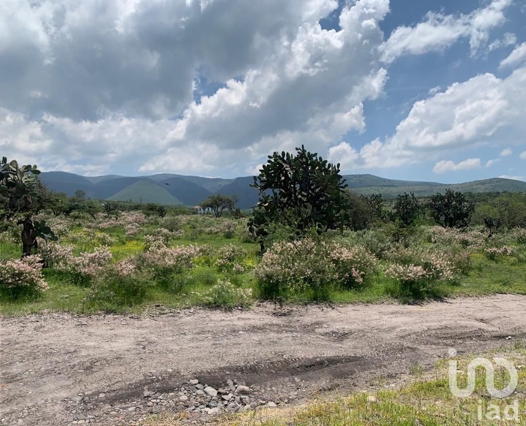 TERRENO DE 21500m2 EN VENTA, SAN MIGUEL DE ALLENDE, GTO.