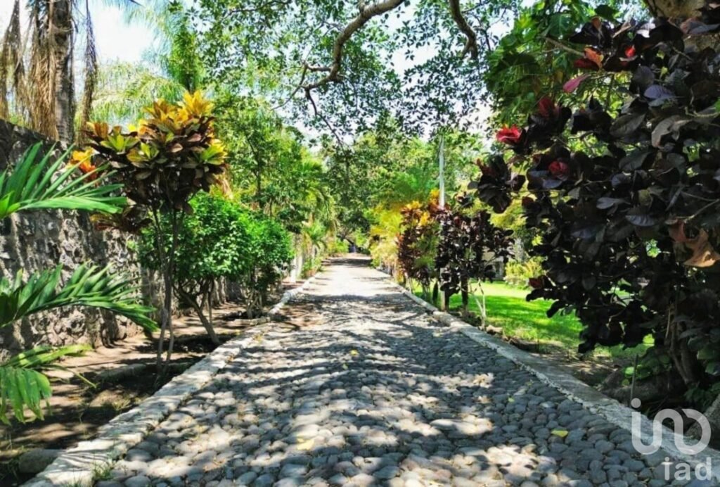 SE VENDE TERRENO SOBRE CARRETERA GDL-MZLLO, EN LA CIUDAD DE COLIMA, MEXICO