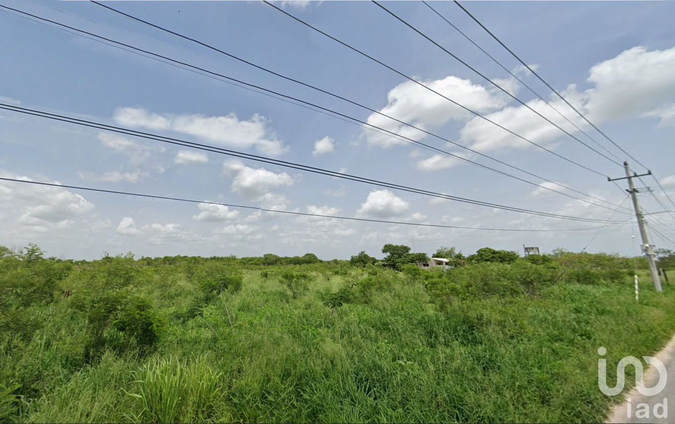 Terrenos en Venta en Conkal – Uso Mixto, Frente a Carretera y con Facilidades de Pago Terrenos en Venta en Conkal – Uso Mixto, Frente a Carretera y con Facilidades de Pago