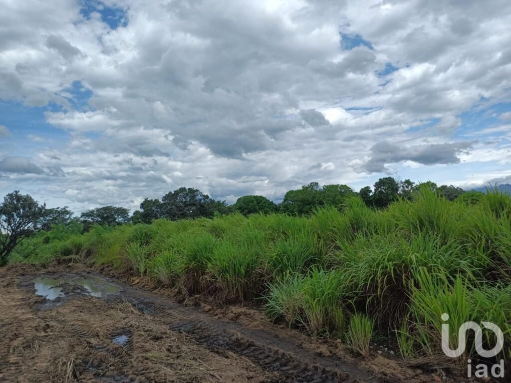 SE VENDE TERRENO MUNICIPIO SAN PEDRO TAPANATEPEC,OAXACA