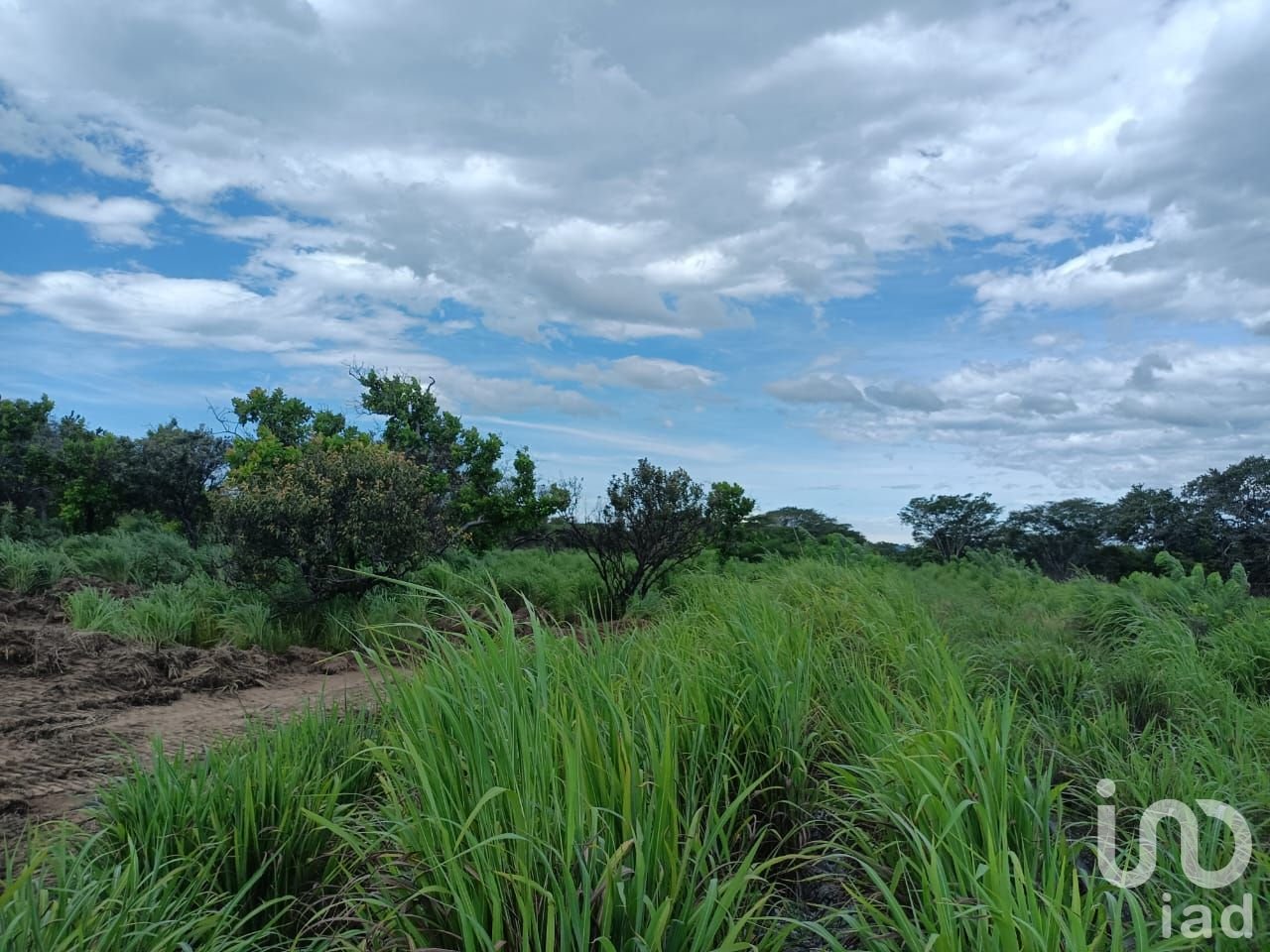 SE VENDE TERRENO MUNICIPIO SAN PEDRO TAPANATEPEC,OAXACA