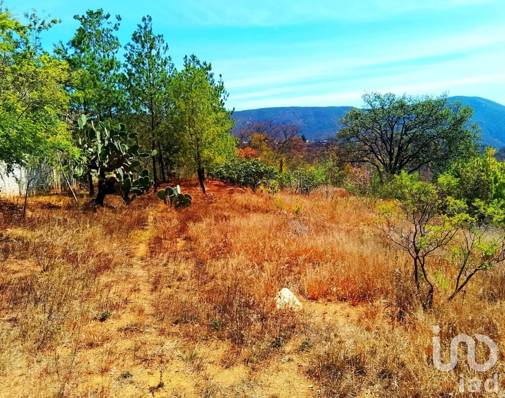 Terreno en Santa Rosa Guanajuato de 778 M2 con vista ESPECTACULAR listo para fincar