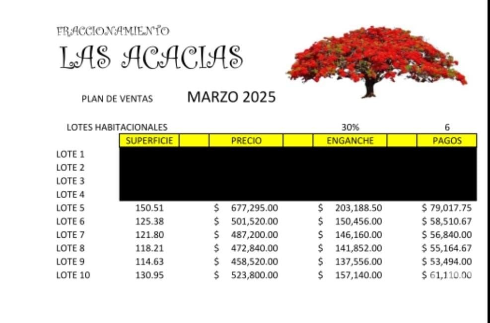 Venta de terreno 10 en Fraccionamiento en Coatepec