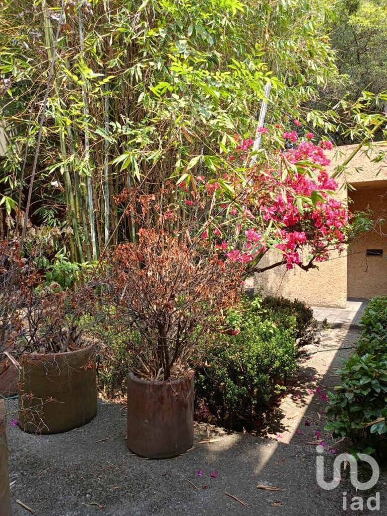 Casa en Venta en el centro de Tlalpan, Cdmx