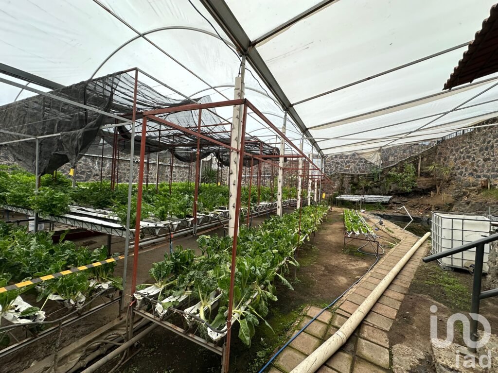 Terreno en Venta en San Andres Totoltepec, Tlalpan