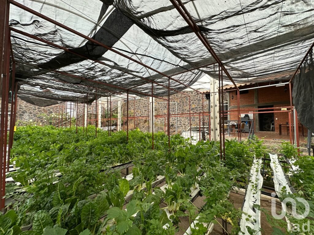 Terreno en Venta en San Andres Totoltepec, Tlalpan