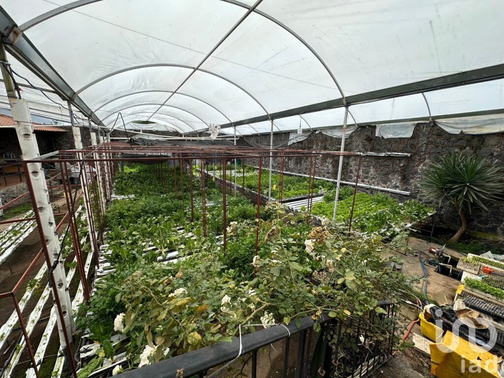 Terreno en Venta en San Andres Totoltepec, Tlalpan